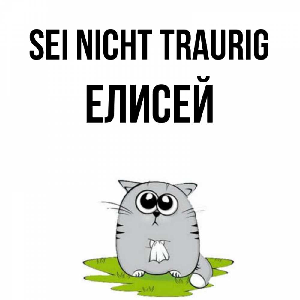 Открытка на каждый день с именем, Елисей Sei nicht traurig грустный котяра Прикольная открытка с пожеланием онлайн скачать бесплатно 
