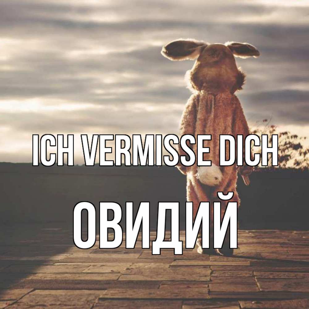 Открытка на каждый день с именем, Овидий Ich vermisse dich даже в костюме зайца Прикольная открытка с пожеланием онлайн скачать бесплатно 