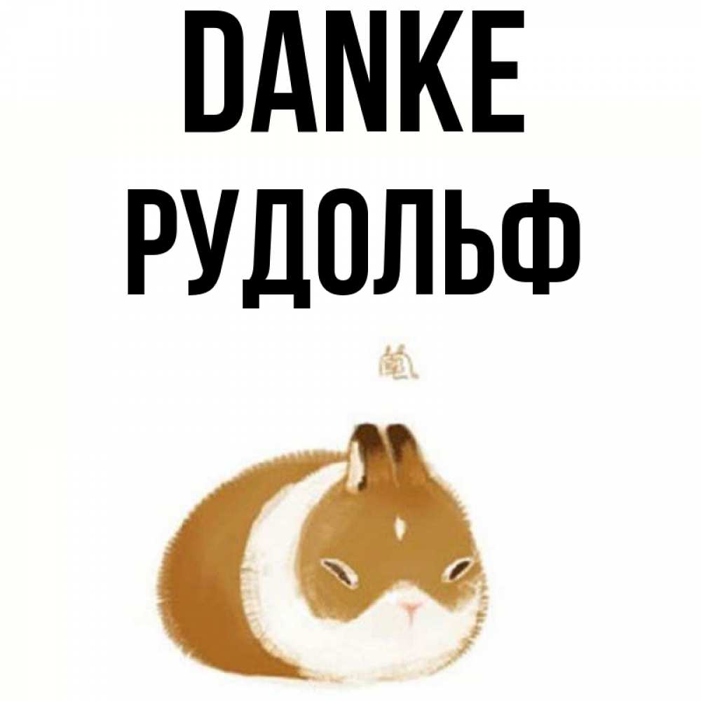 Открытка на каждый день с именем, Рудольф Danke коричнево белый домашний питомец Прикольная открытка с пожеланием онлайн скачать бесплатно 