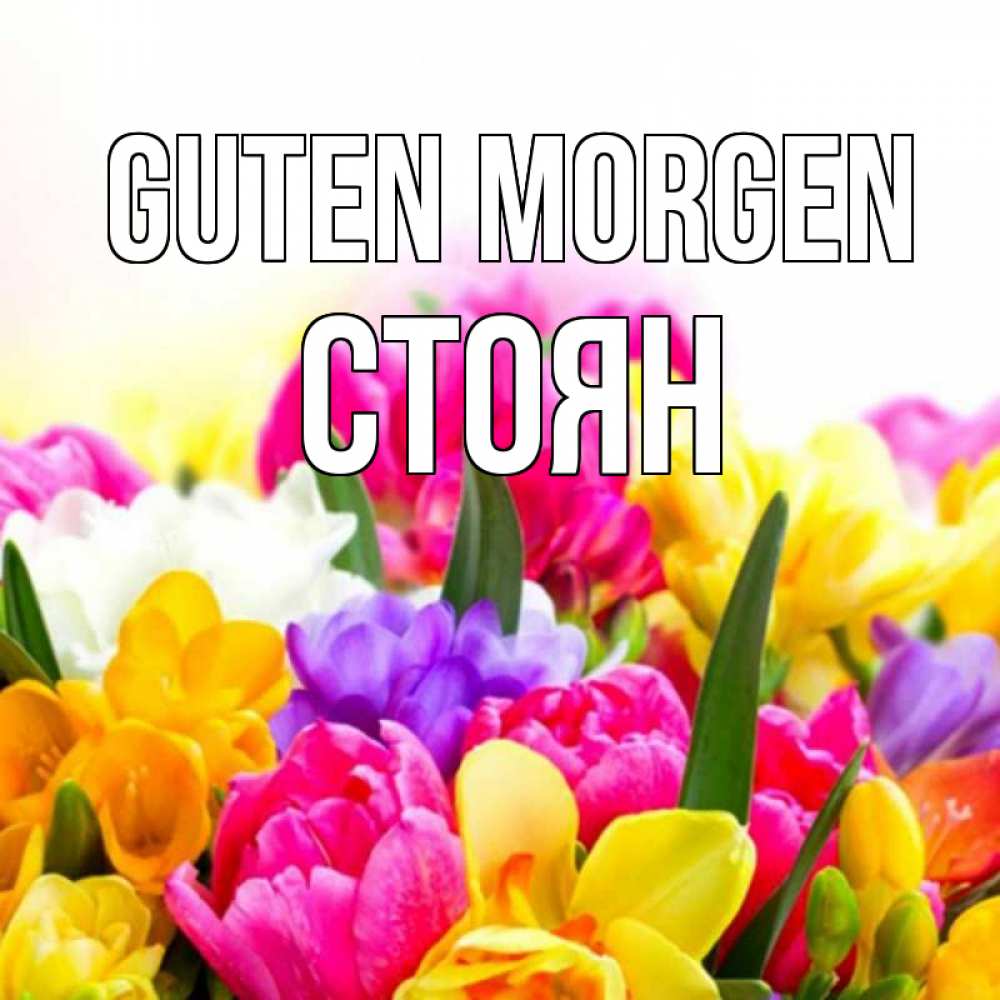 Открытка на каждый день с именем, Стоян Guten Morgen создать открытку со свое подписью Прикольная открытка с пожеланием онлайн скачать бесплатно 