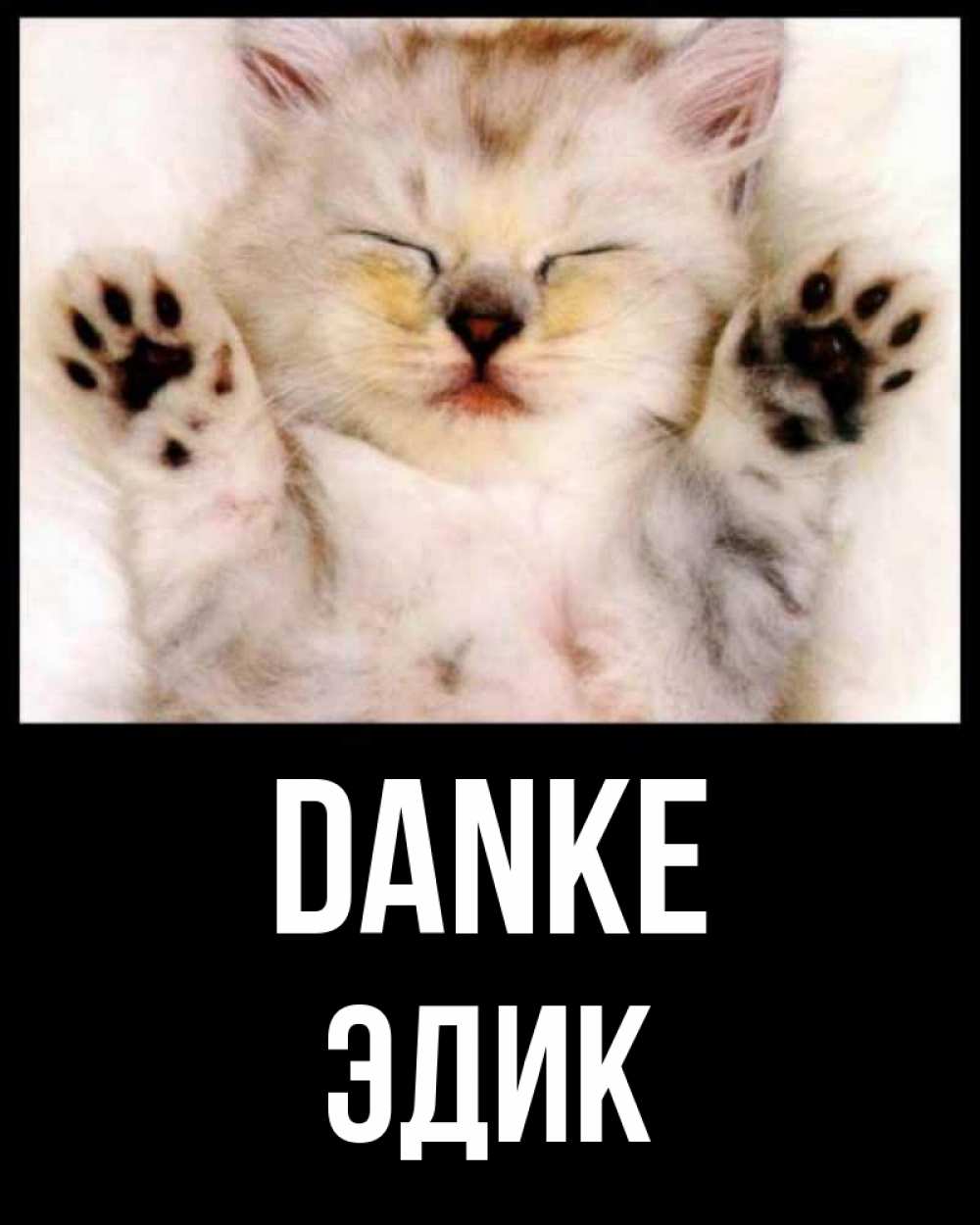 Открытка на каждый день с именем, Эдик Danke маленький котенок Прикольная открытка с пожеланием онлайн скачать бесплатно 