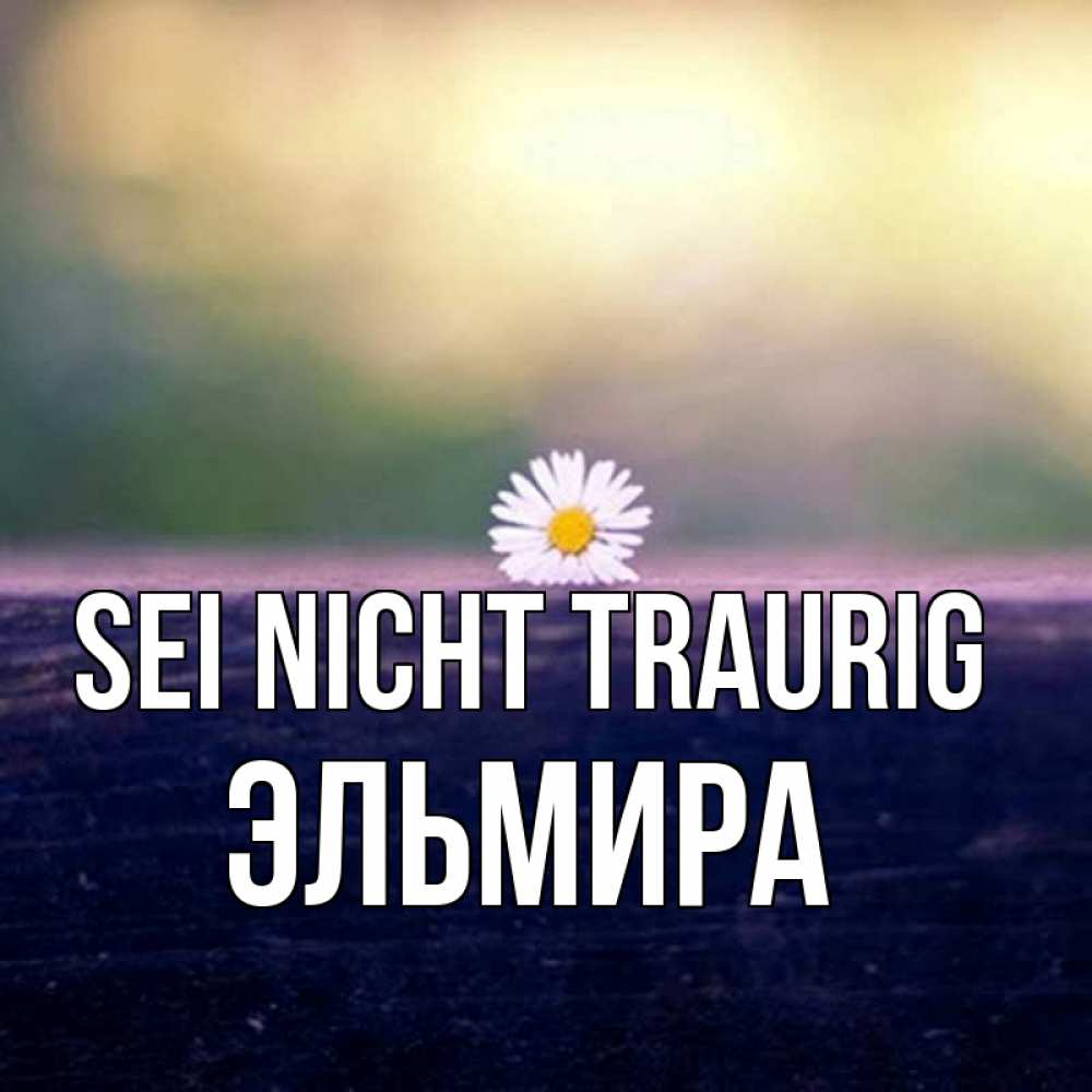 Открытка на каждый день с именем, Эльмира Sei nicht traurig красота Прикольная открытка с пожеланием онлайн скачать бесплатно 