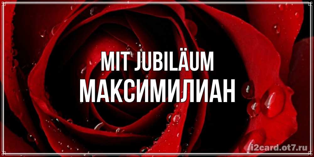 Открытка на каждый день с именем, Максимилиан Mit Jubiläum крупная бордовая роза Прикольная открытка с пожеланием онлайн скачать бесплатно 