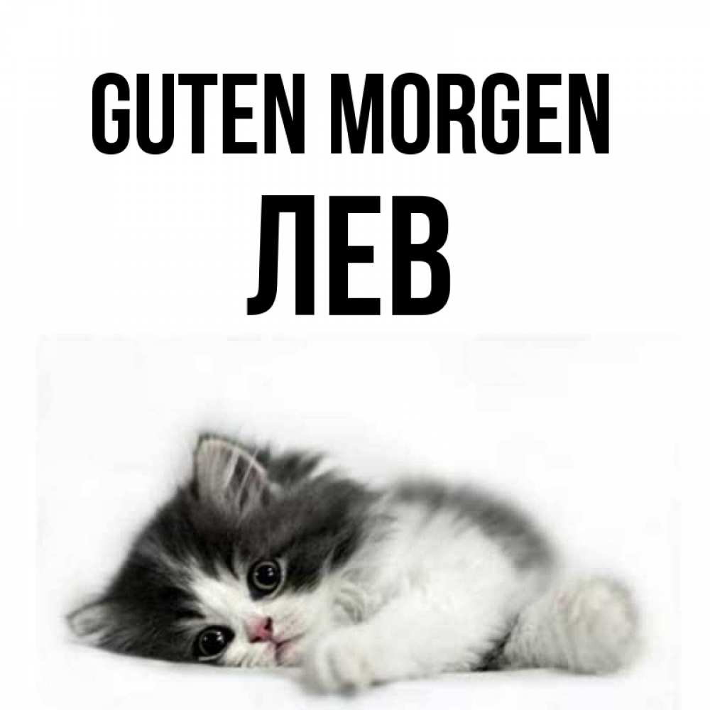 Открытка на каждый день с именем, Лев Guten Morgen кот лапки Прикольная открытка с пожеланием онлайн скачать бесплатно 