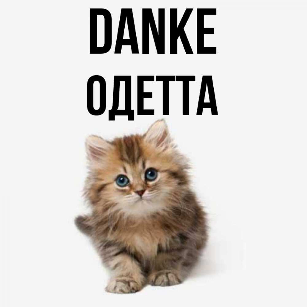Открытка на каждый день с именем, Одетта Danke пушистый котик Прикольная открытка с пожеланием онлайн скачать бесплатно 