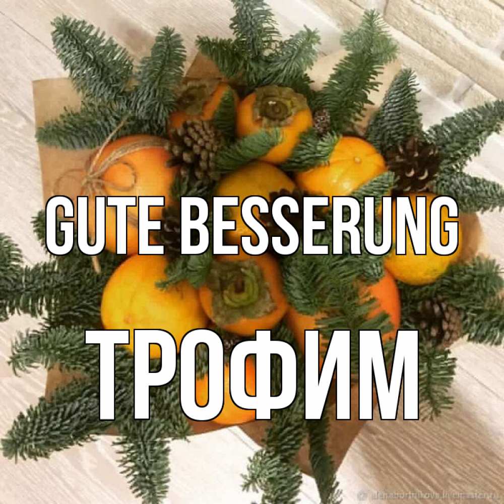 Открытка на каждый день с именем, Трофим Gute Besserung апельсины и хурьма Прикольная открытка с пожеланием онлайн скачать бесплатно 