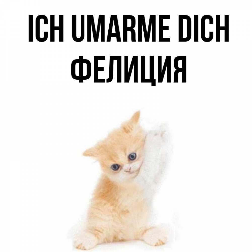 Открытка на каждый день с именем, Фелиция Ich umarme dich я хочу очень скорее обнимаешек Прикольная открытка с пожеланием онлайн скачать бесплатно 