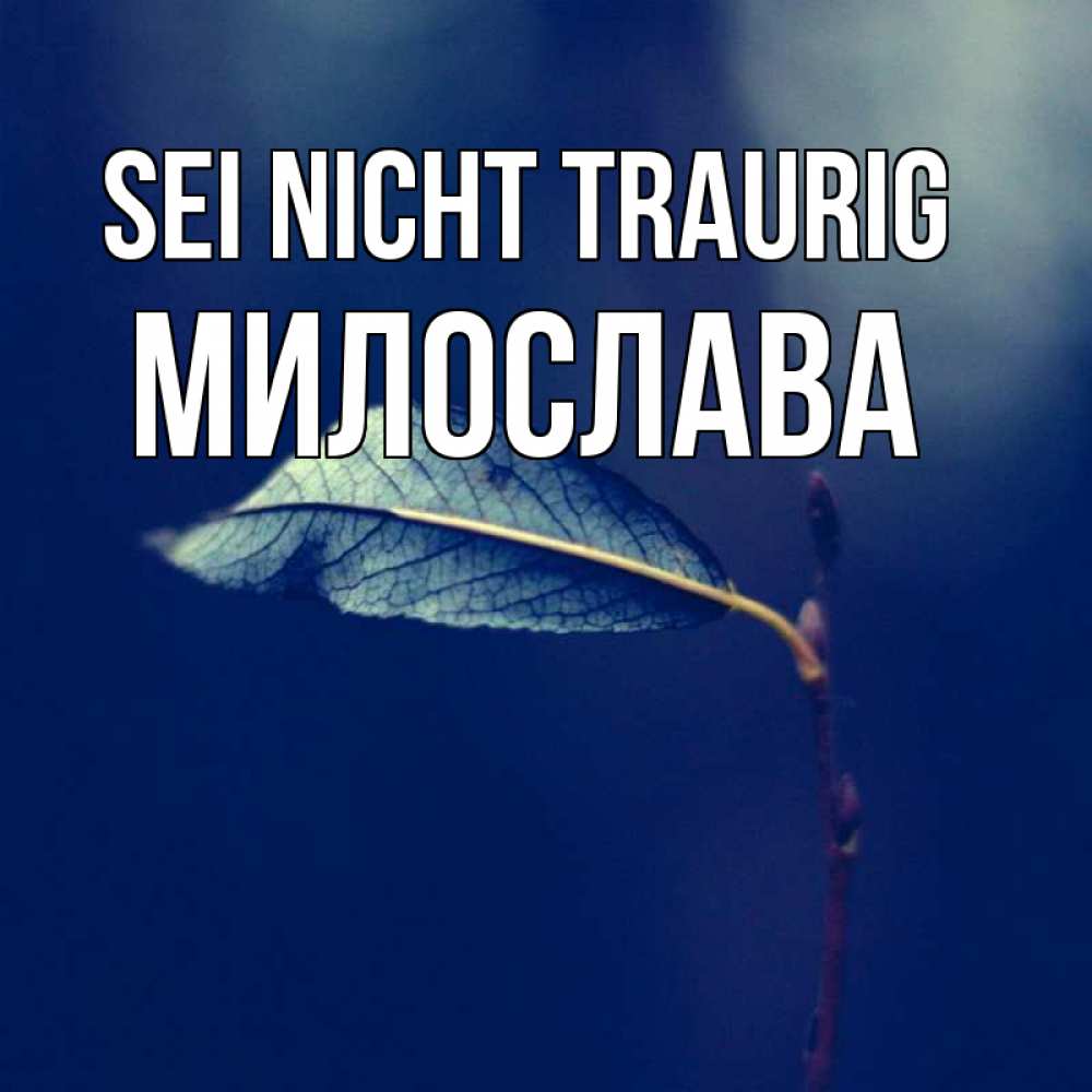 Открытка на каждый день с именем, Милослава Sei nicht traurig растение Прикольная открытка с пожеланием онлайн скачать бесплатно 