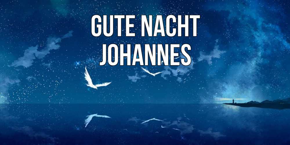 Открытка на каждый день с именем, Johannes Gute Nacht птицы летят на фоне ночного неба Прикольная открытка с пожеланием онлайн скачать бесплатно 