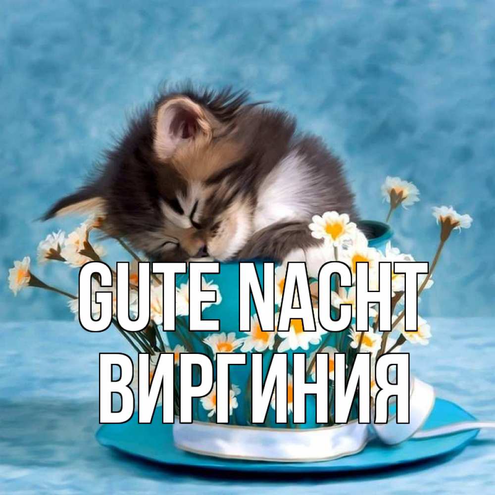 Открытка на каждый день с именем, Виргиния Gute Nacht котенок спит в кружке с блюдцем Прикольная открытка с пожеланием онлайн скачать бесплатно 