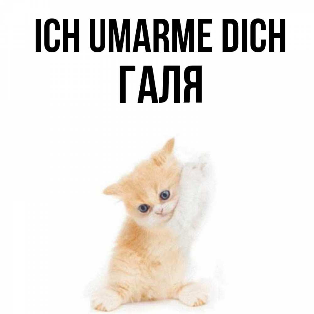 Открытка на каждый день с именем, Галя Ich umarme dich я хочу очень скорее обнимаешек Прикольная открытка с пожеланием онлайн скачать бесплатно 