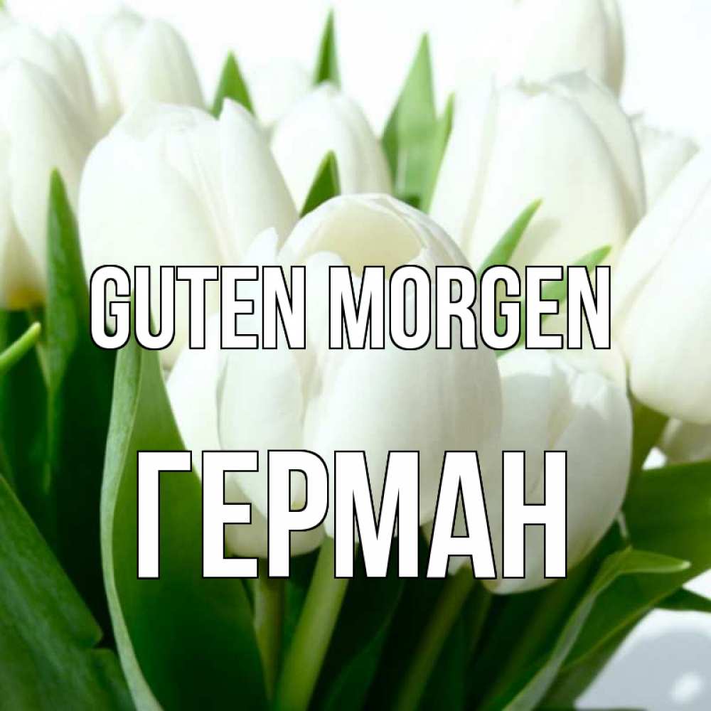 Открытка на каждый день с именем, Герман Guten Morgen открытки на каждый день по именам Прикольная открытка с пожеланием онлайн скачать бесплатно 