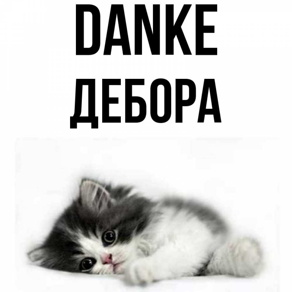Открытка на каждый день с именем, Дебора Danke черный и белый кот Прикольная открытка с пожеланием онлайн скачать бесплатно 