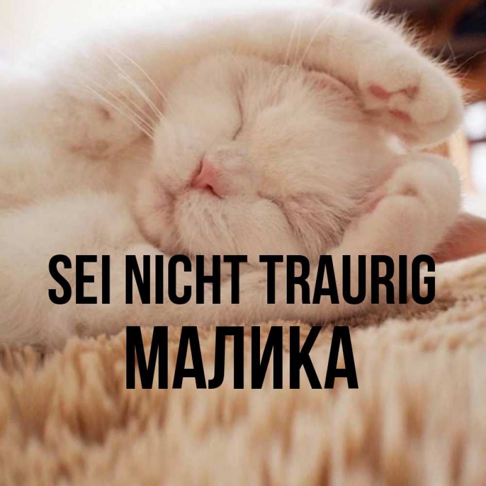 Открытка на каждый день с именем, Малика Sei nicht traurig Котенок спит Прикольная открытка с пожеланием онлайн скачать бесплатно 