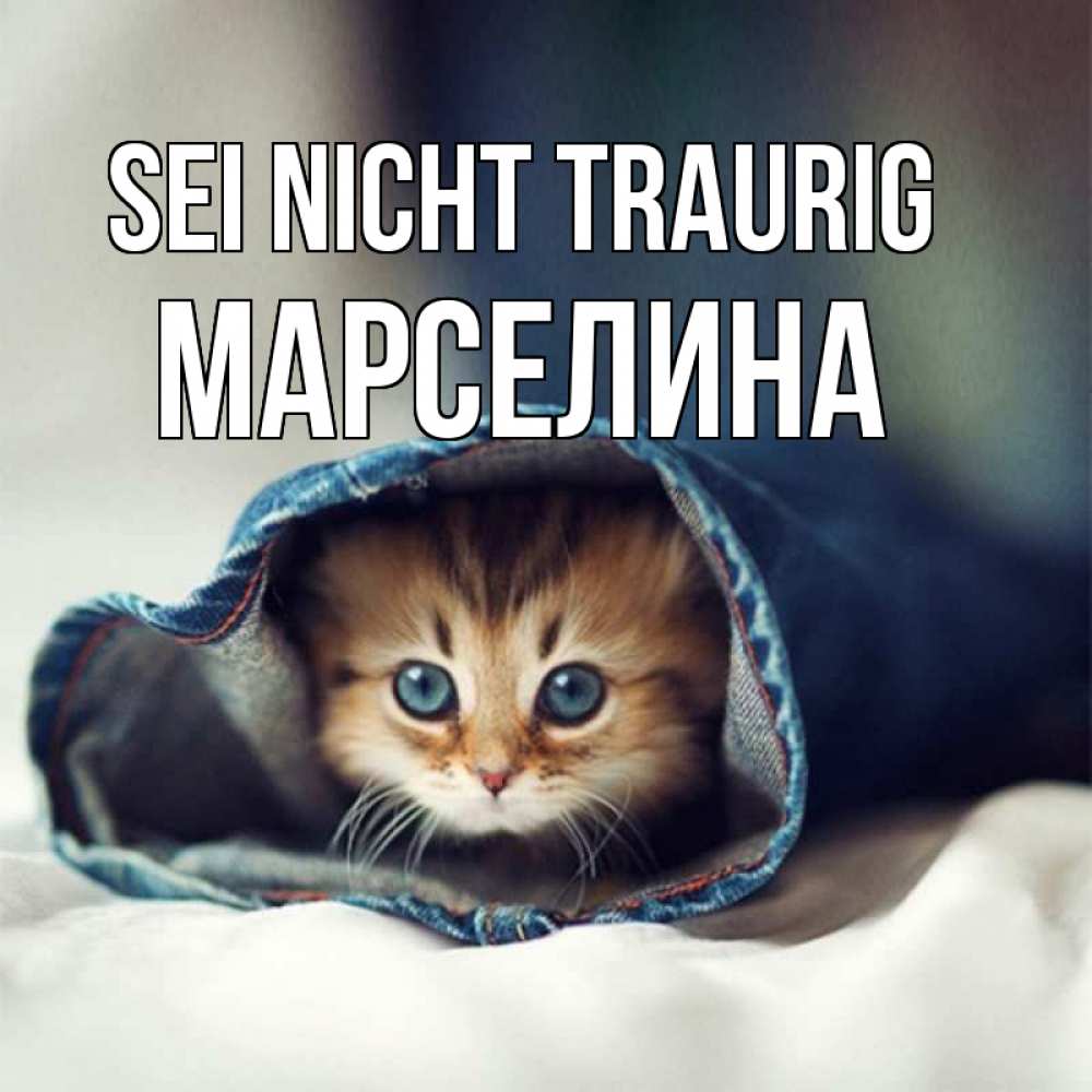 Открытка на каждый день с именем, Марселина Sei nicht traurig рыжик котик Прикольная открытка с пожеланием онлайн скачать бесплатно 