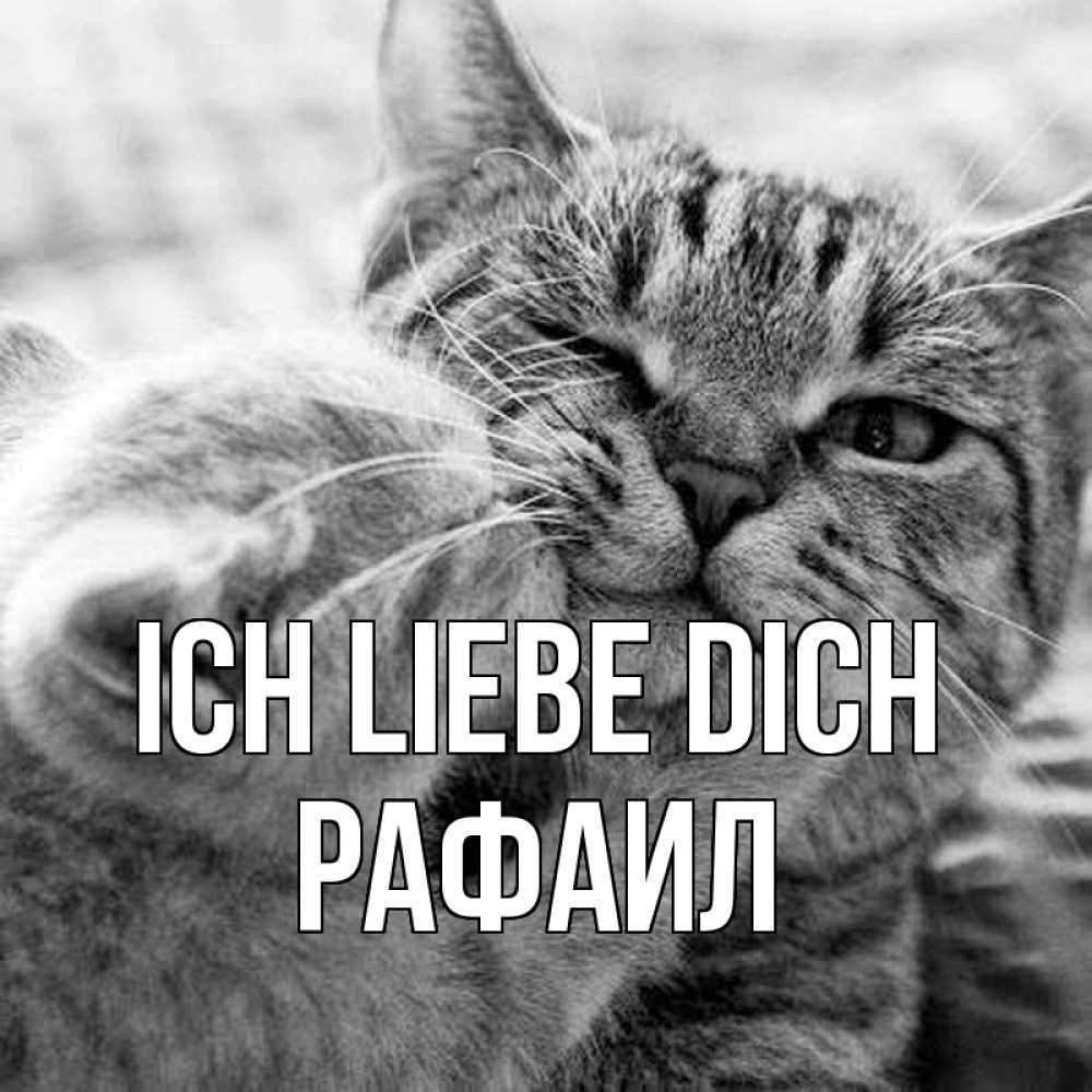 Открытка на каждый день с именем, Рафаил Ich liebe dich коты Прикольная открытка с пожеланием онлайн скачать бесплатно 
