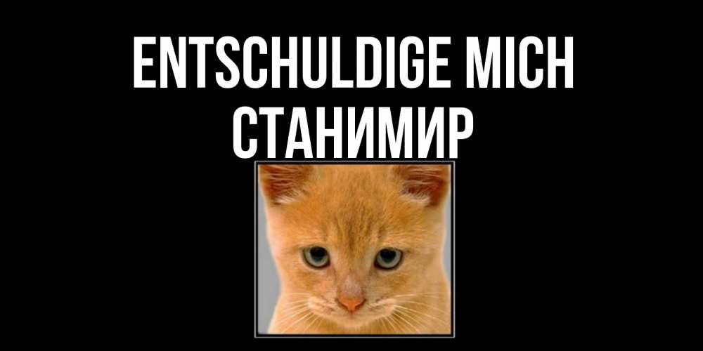Открытка на каждый день с именем, Станимир Entschuldige mich рыжий грустный кот просит прощения Прикольная открытка с пожеланием онлайн скачать бесплатно 