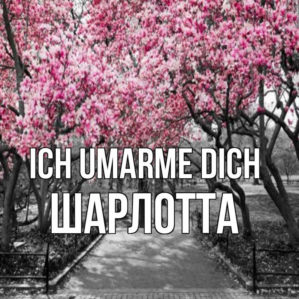 Открытка на каждый день с именем, Шарлотта Ich umarme dich обработанное фото Прикольная открытка с пожеланием онлайн скачать бесплатно 
