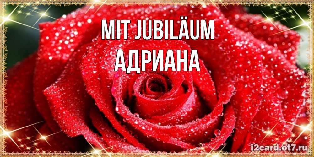 Открытка на каждый день с именем, Адриана Mit Jubiläum роса и роза. открытка с красивой розой Прикольная открытка с пожеланием онлайн скачать бесплатно 