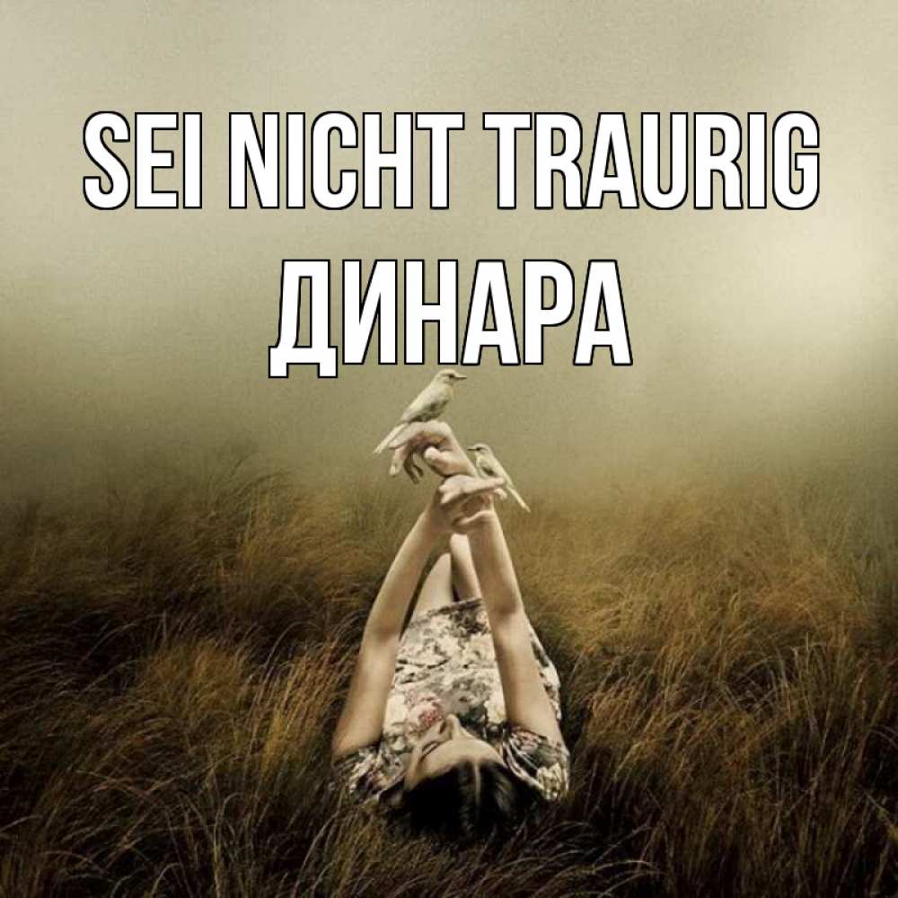 Открытка на каждый день с именем, Динара Sei nicht traurig поле и туман Прикольная открытка с пожеланием онлайн скачать бесплатно 
