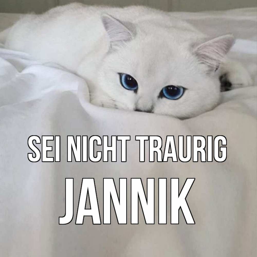 Открытка на каждый день с именем, Jannik Sei nicht traurig белый кот с голубыми глазами на белоснежной кровати Прикольная открытка с пожеланием онлайн скачать бесплатно 