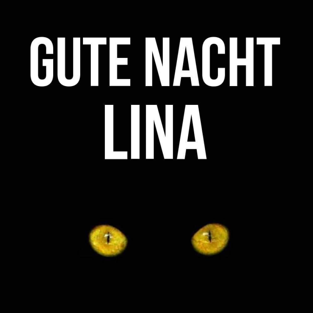 Открытка на каждый день с именем, Lina Gute Nacht сладких снов бесстрашный мой дружочек Прикольная открытка с пожеланием онлайн скачать бесплатно 