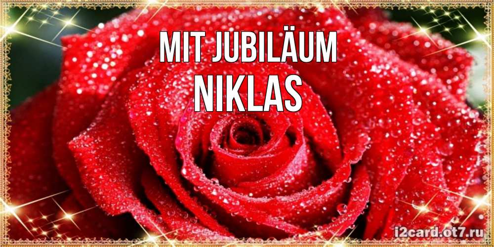 Открытка на каждый день с именем, Niklas Mit Jubiläum роса и роза. открытка с красивой розой Прикольная открытка с пожеланием онлайн скачать бесплатно 