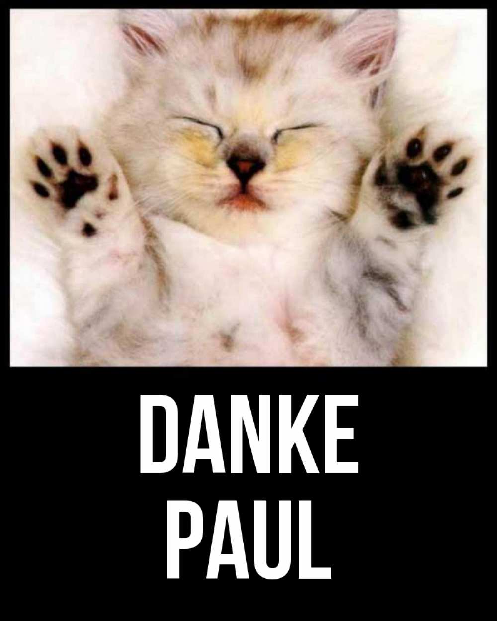 Открытка на каждый день с именем, Paul Danke маленький котенок Прикольная открытка с пожеланием онлайн скачать бесплатно 