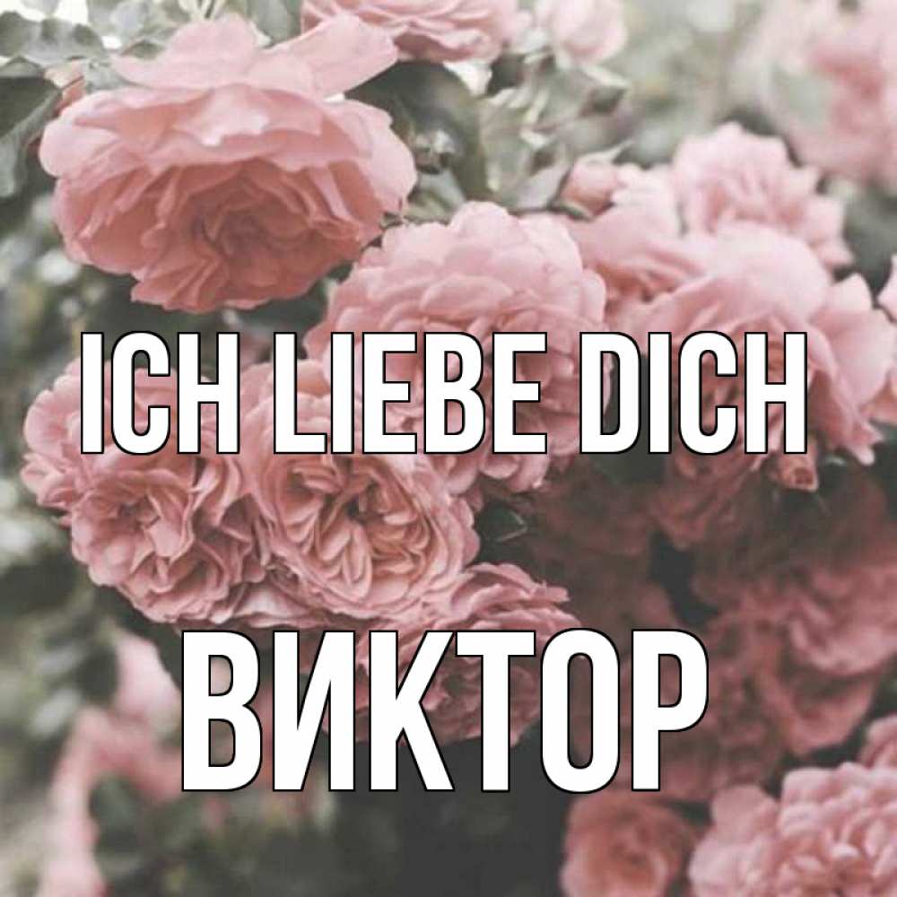 Открытка на каждый день с именем, Виктор Ich liebe dich розы 3 Прикольная открытка с пожеланием онлайн скачать бесплатно 