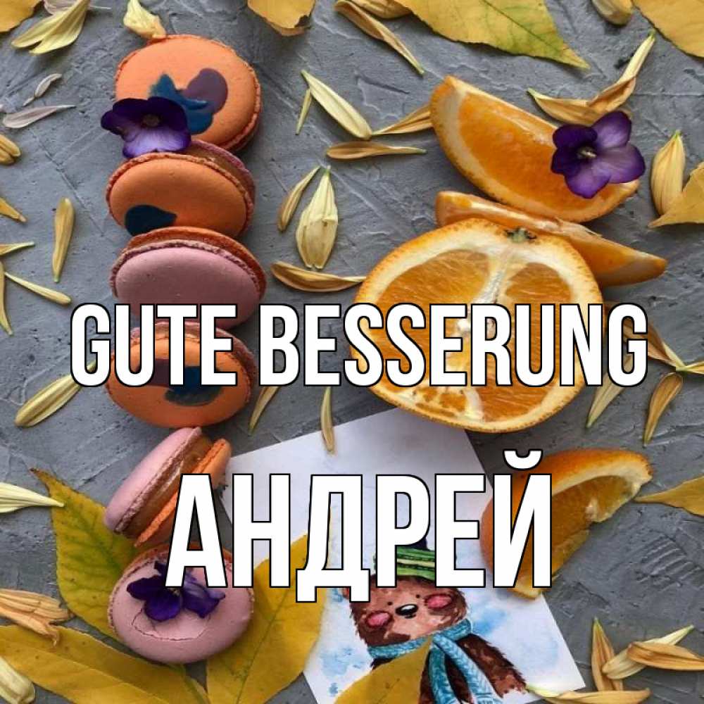 Открытка на каждый день с именем, Андрей Gute Besserung не болейте Прикольная открытка с пожеланием онлайн скачать бесплатно 