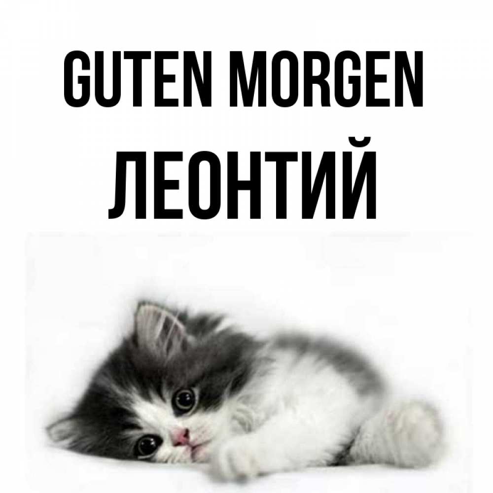 Открытка на каждый день с именем, Леонтий Guten Morgen кот лапки Прикольная открытка с пожеланием онлайн скачать бесплатно 