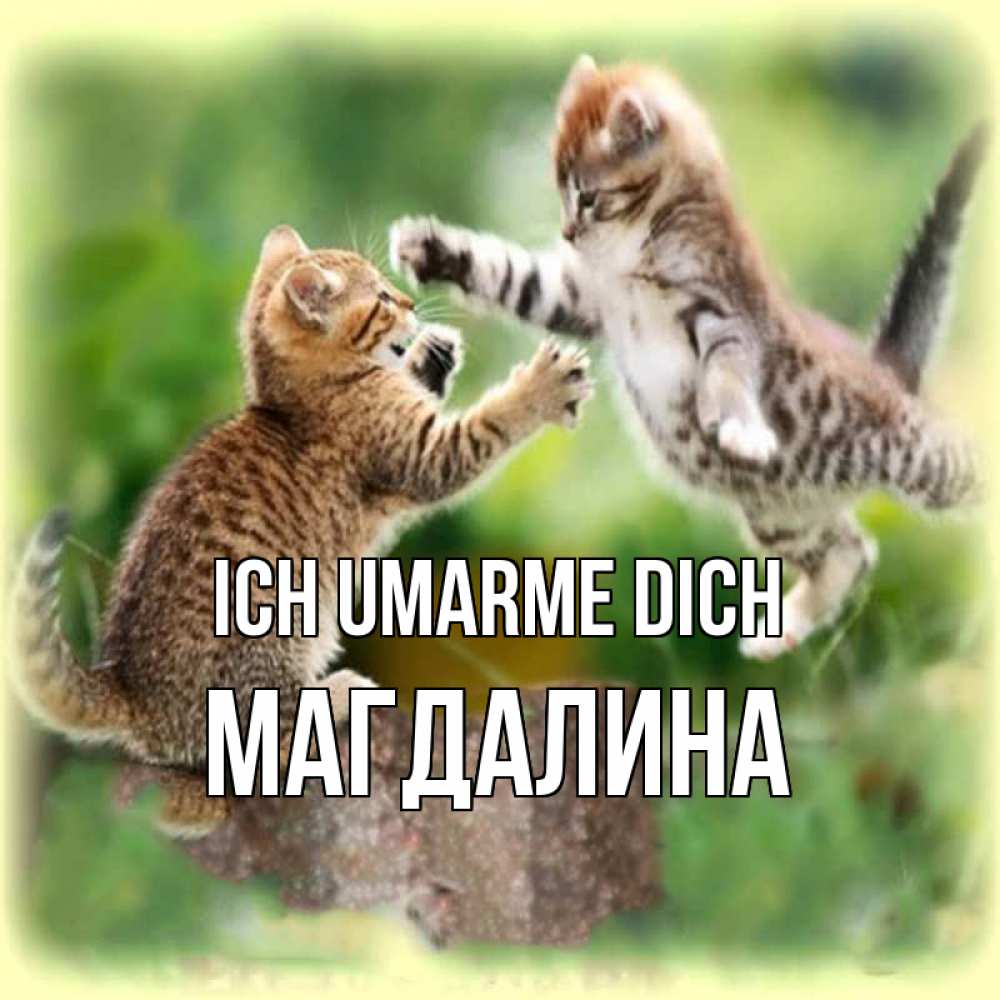 Открытка на каждый день с именем, Магдалина Ich umarme dich игры котят Прикольная открытка с пожеланием онлайн скачать бесплатно 