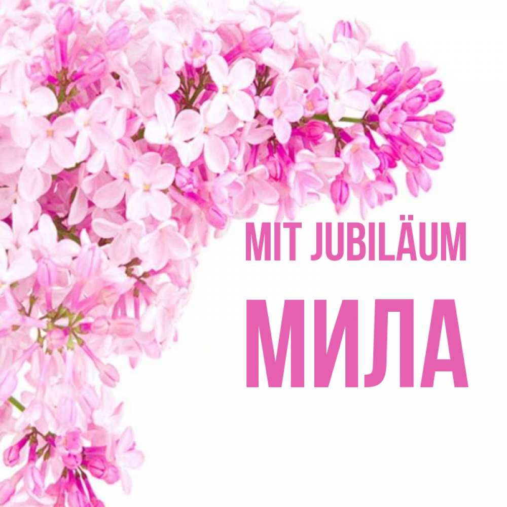 Открытка на каждый день с именем, Мила Mit Jubiläum Сирень на белом фоне Прикольная открытка с пожеланием онлайн скачать бесплатно 