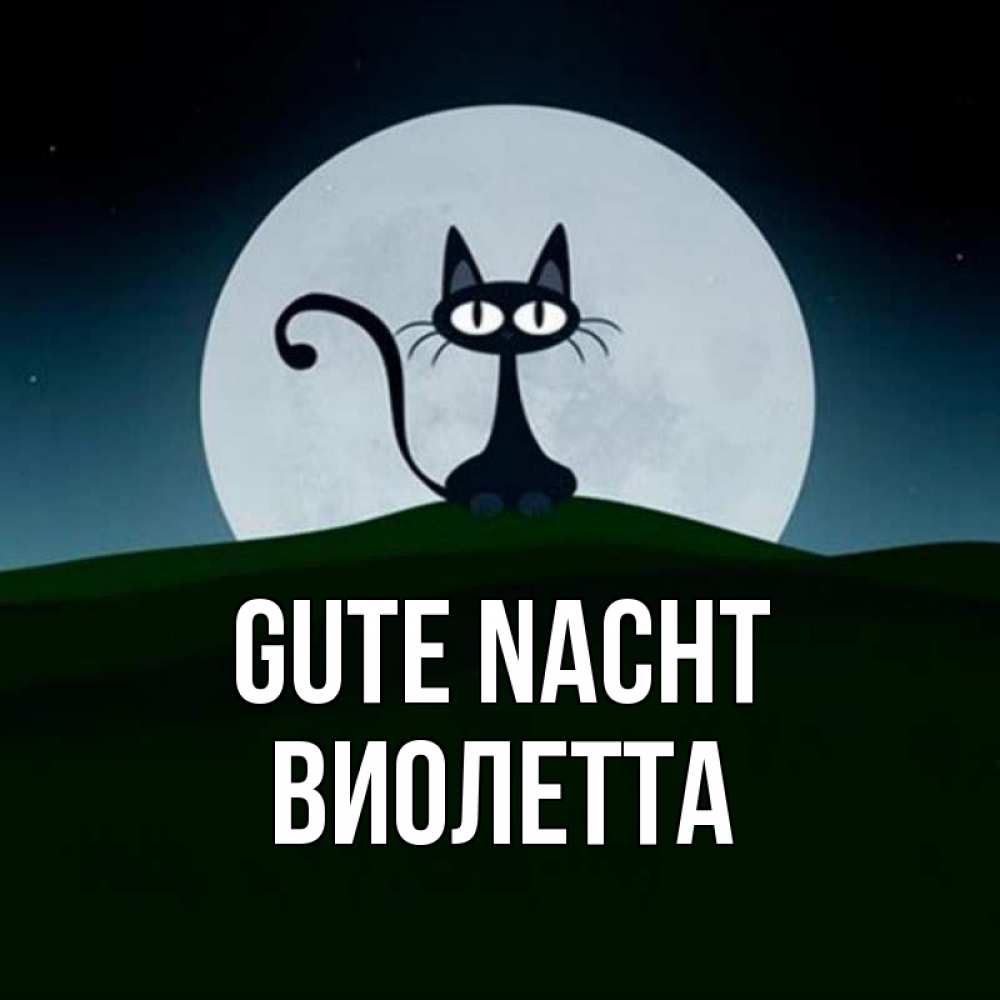 Открытка на каждый день с именем, Виолетта Gute Nacht хорошо выспаться ночью и без кошмаров Прикольная открытка с пожеланием онлайн скачать бесплатно 
