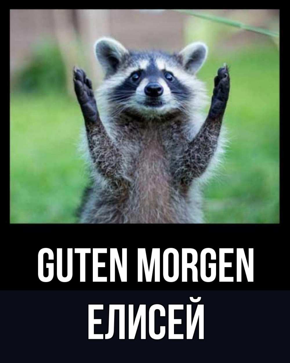 Открытка на каждый день с именем, Елисей Guten Morgen хорошее настроение утречком Прикольная открытка с пожеланием онлайн скачать бесплатно 
