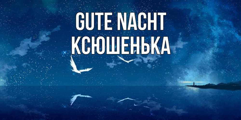 Открытка на каждый день с именем, Ксюшенька Gute Nacht птицы летят на фоне ночного неба Прикольная открытка с пожеланием онлайн скачать бесплатно 