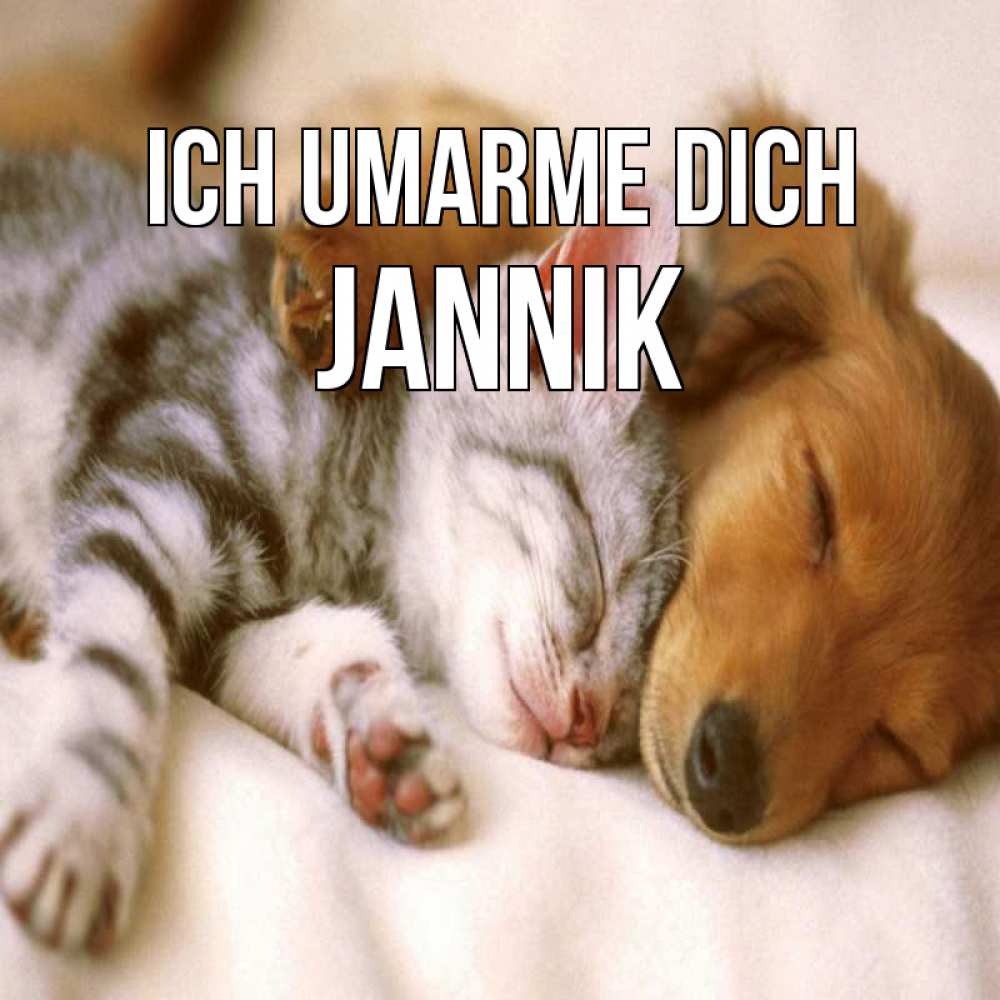 Открытка на каждый день с именем, Jannik Ich umarme dich пес и котенок Прикольная открытка с пожеланием онлайн скачать бесплатно 