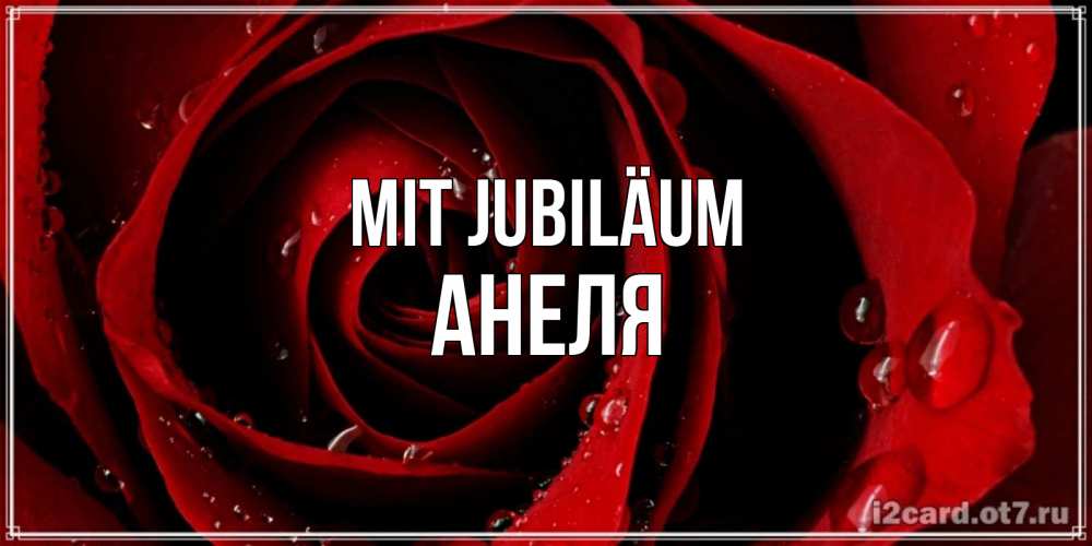 Открытка на каждый день с именем, Анеля Mit Jubiläum крупная бордовая роза Прикольная открытка с пожеланием онлайн скачать бесплатно 