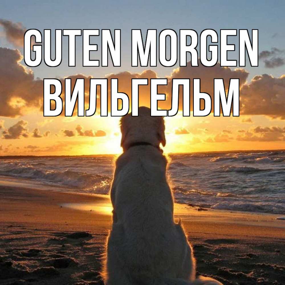 Открытка на каждый день с именем, Вильгельм Guten Morgen восход солнца Прикольная открытка с пожеланием онлайн скачать бесплатно 
