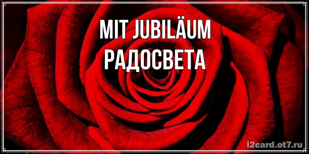 Открытка на каждый день с именем, Радосвета Mit Jubiläum алая роза Прикольная открытка с пожеланием онлайн скачать бесплатно 