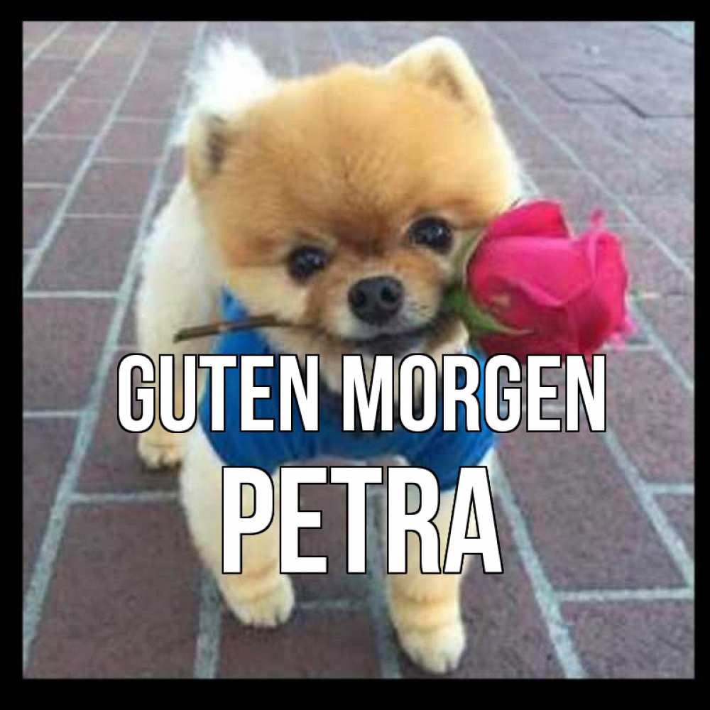 Открытка на каждый день с именем, Petra Guten Morgen роза в зубах Прикольная открытка с пожеланием онлайн скачать бесплатно 