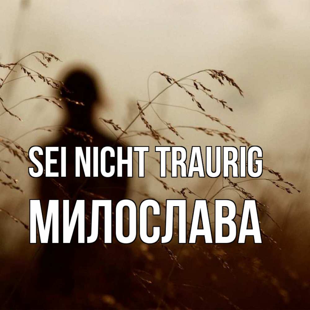 Открытка на каждый день с именем, Милослава Sei nicht traurig грусть Прикольная открытка с пожеланием онлайн скачать бесплатно 