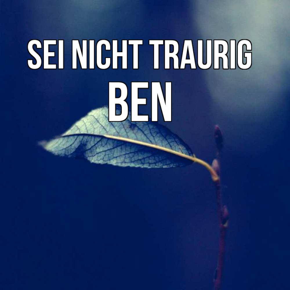 Открытка на каждый день с именем, Ben Sei nicht traurig растение Прикольная открытка с пожеланием онлайн скачать бесплатно 