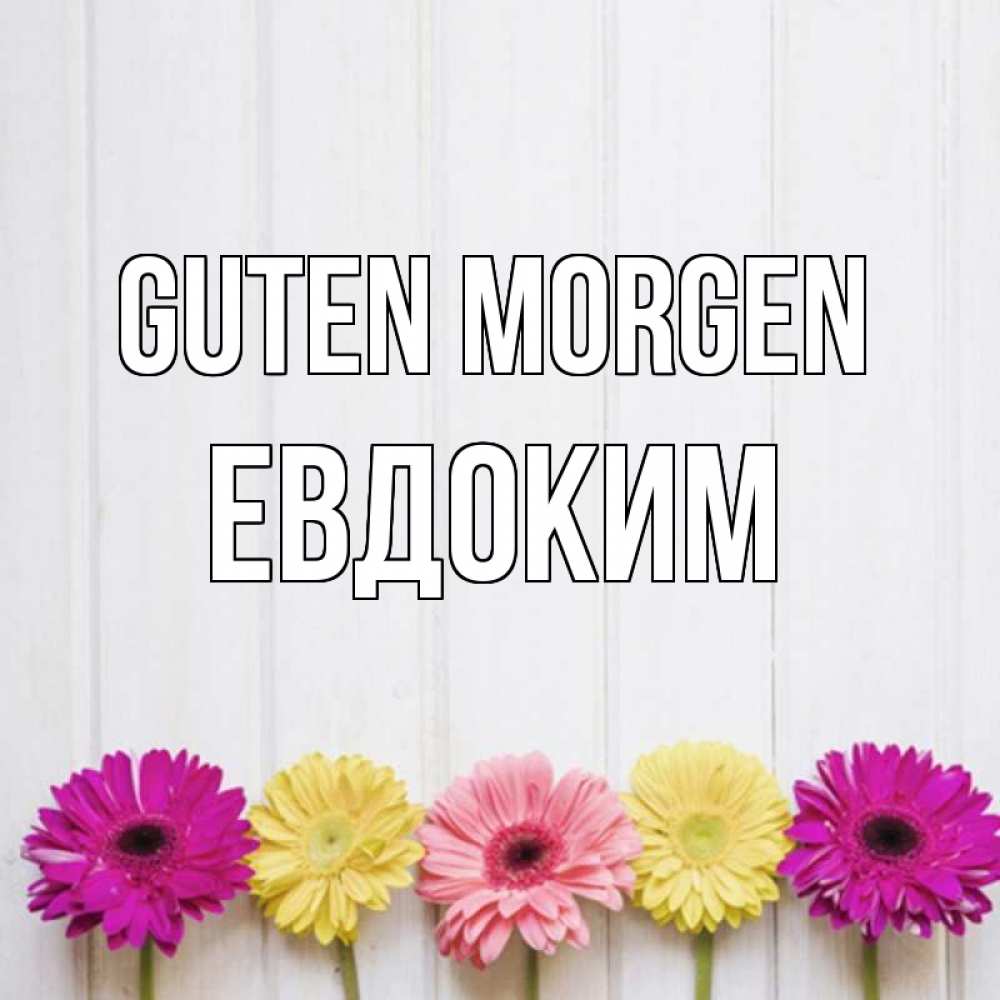 Открытка на каждый день с именем, Евдоким Guten Morgen красный желтый и розовый цветок Прикольная открытка с пожеланием онлайн скачать бесплатно 