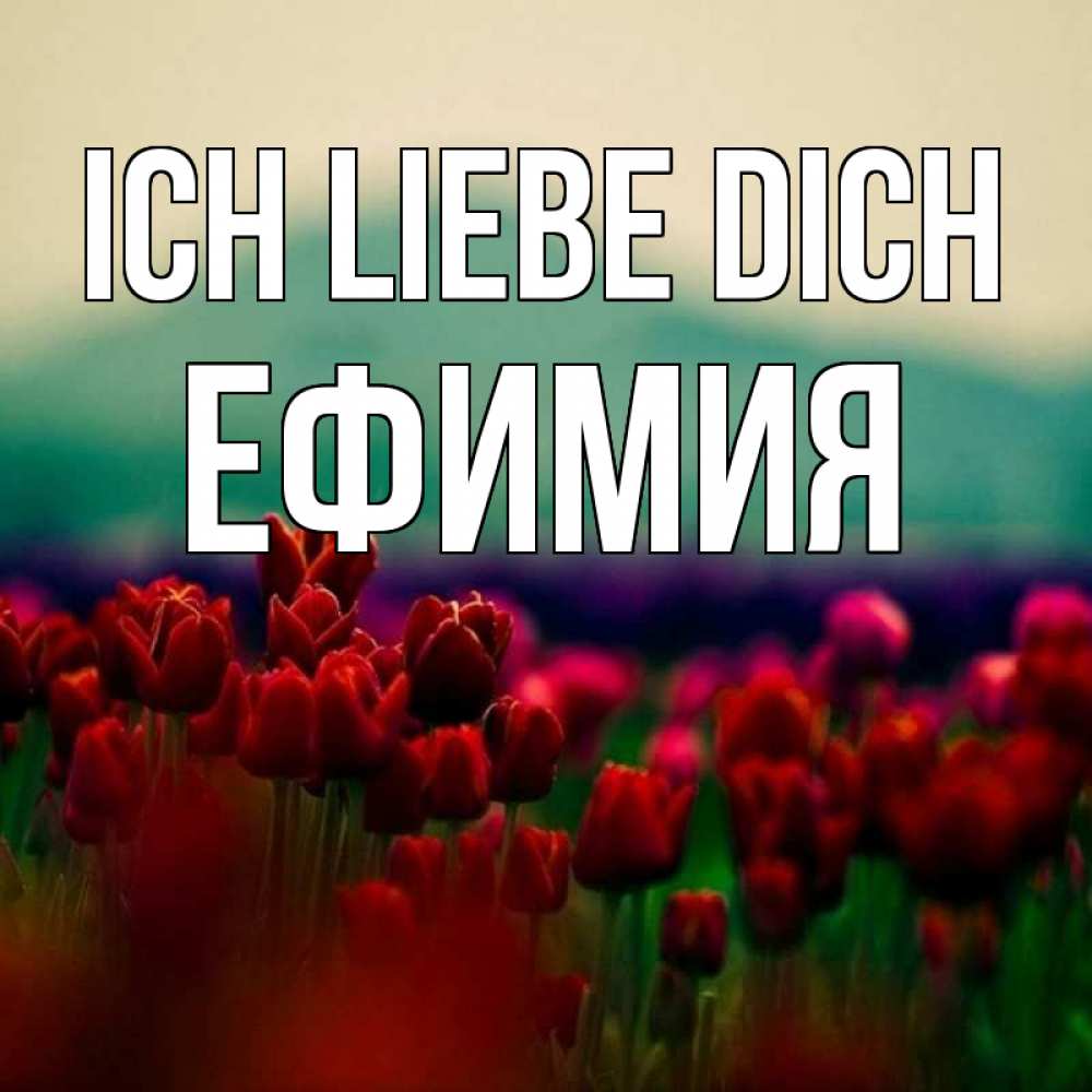 Открытка на каждый день с именем, Ефимия Ich liebe dich тюльпаны 4 Прикольная открытка с пожеланием онлайн скачать бесплатно 