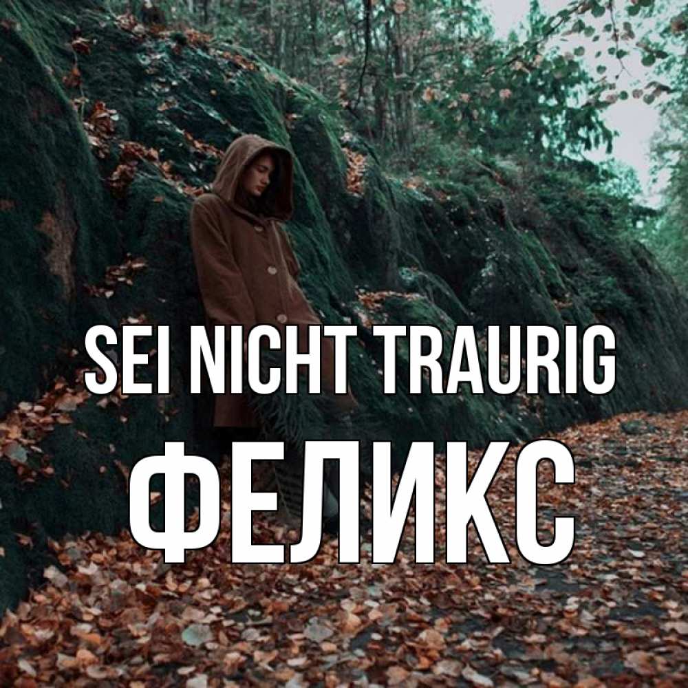 Открытка на каждый день с именем, Феликс Sei nicht traurig осенний лес Прикольная открытка с пожеланием онлайн скачать бесплатно 
