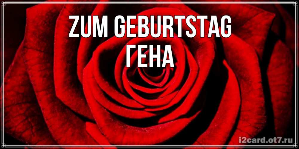 Открытка на каждый день с именем, Гена Zum Geburtstag алая роза Прикольная открытка с пожеланием онлайн скачать бесплатно 