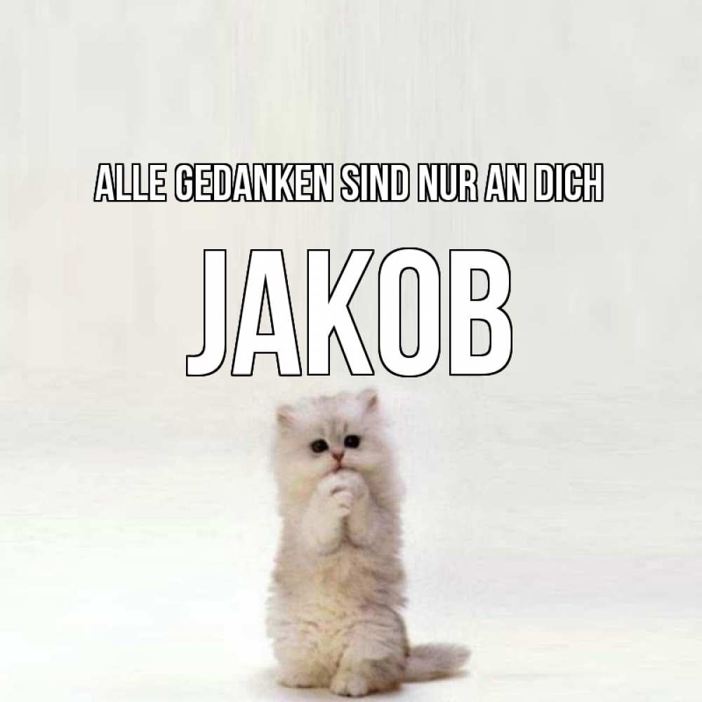 Открытка на каждый день с именем, Jakob Alle Gedanken sind nur an dich кот стоит на задних лапах Прикольная открытка с пожеланием онлайн скачать бесплатно 