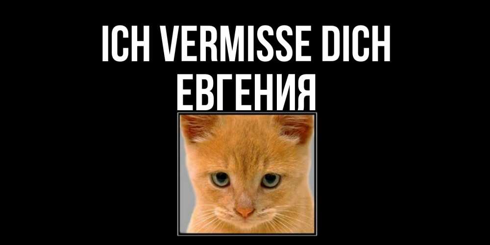 Открытка на каждый день с именем, Евгения Ich vermisse dich открытки рыжий котенок скучает по тебе Прикольная открытка с пожеланием онлайн скачать бесплатно 
