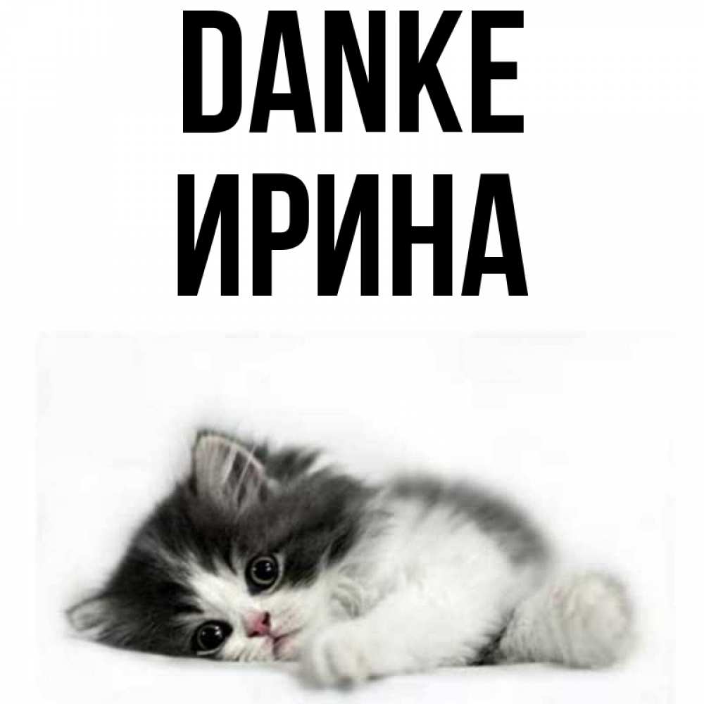 Открытка на каждый день с именем, Ирина Danke черный и белый кот Прикольная открытка с пожеланием онлайн скачать бесплатно 